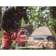 Бензопила Shindaiwa 501SX в Костроме