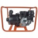 Бензиновая мотопомпа EVOline MG 30 в Костроме