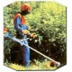 Бензокоса (бензиновый триммер) Stihl FS 55 C в Костроме