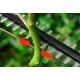 Высоторез аккумуляторный Bosch UniversalHedgePole 18 в Костроме