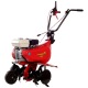 Культиватор Eurosystems Euro-5 EVO RM S/R Honda GX160 в Костроме
