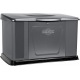 Газовый генератор Briggs&amp;Stratton Home Standby 1400 Вт в Костроме