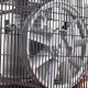 Компрессор поршневой Patriot Remeza СБ 4/С-100 LH 20 A в Костроме