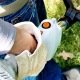 Бензокоса (бензиновый триммер) Stihl FS 45 C-E в Костроме