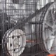 Компрессор поршневой Patriot Remeza СБ 4/С-100 LB 75 в Костроме