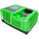Быстрое зарядное устройство Greenworks G40UC5 в Костроме