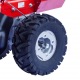 Бензиновая сенокосилка Eurosystems P70 Kohler в Костроме