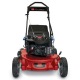 Газонокосилка бензиновая Toro 20092C в Костроме