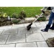 Щетка для чистки дорожек Worx WG441E в Костроме