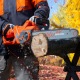 Пила цепная (электропила) Daewoo DACS 2500E-16 в Костроме