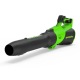 Воздуходувка аккумуляторная GreenWorks GD40BG3 4 Ач в Костроме