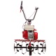 Культиватор Eurosystems Euro-5 EVO RM S/R Honda GX160 в Костроме