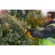 Аккумуляторный кусторез Dewalt DCM563P1 в Костроме