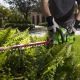Аккумуляторный кусторез GreenWorks G-Max G40HT61K2 40V 61 см (без батареи и зарядного устройства) в Костроме