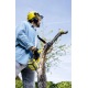 Высоторез аккумуляторный Karcher PSW 18-20 (без аккумулятора и зарядного устройства) в Костроме