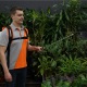 Аккумуляторный опрыскиватель Daewoo DSA 12Li SET в Костроме