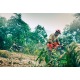 Бензопила Husqvarna 455e Rancher-18&quot; в Костроме