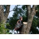 Бензопила Husqvarna 545 Mark II-15&quot; в Костроме
