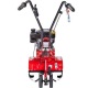 Культиватор Eurosystems Z-2 RM B&amp;S Series 450 в Костроме