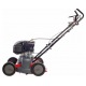 Скарификатор Eurosystems SC42L с двигателем Loncin в Костроме